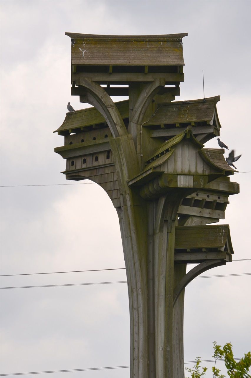 Darlaston Lane. House of Birds. Designed by Jamie McCullough