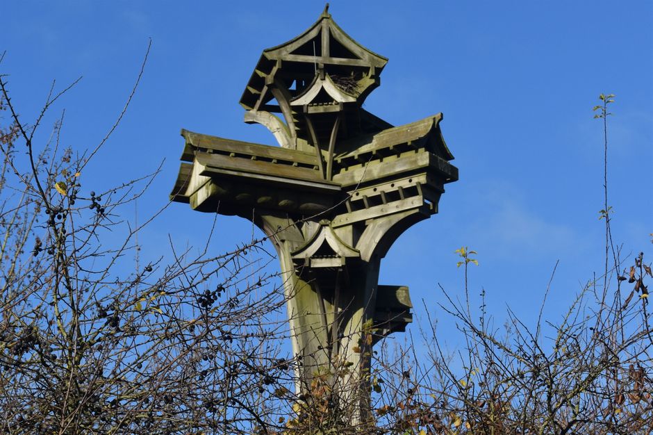 Darlaston Lane. House of Birds. Designed by Jamie McCullough
