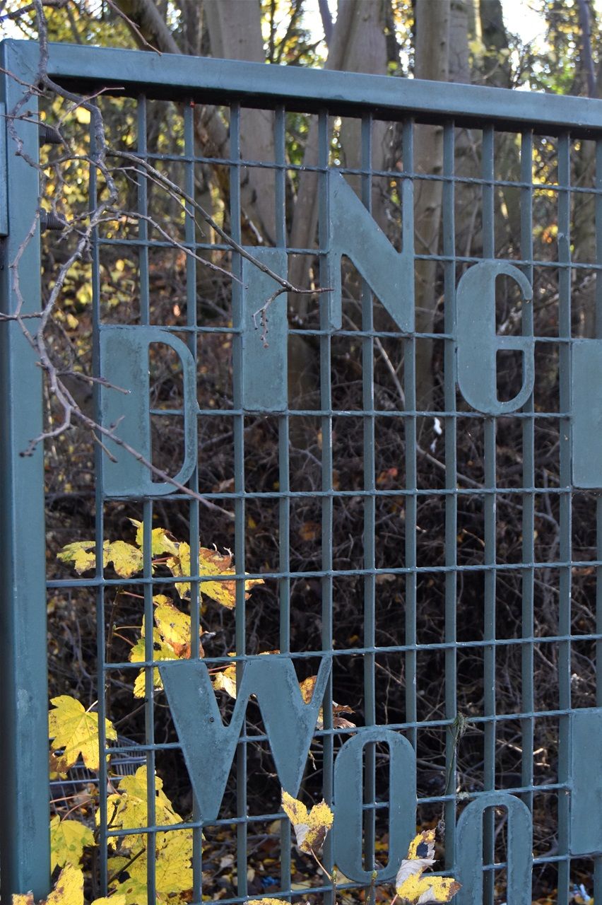 Fence by Lunt walk