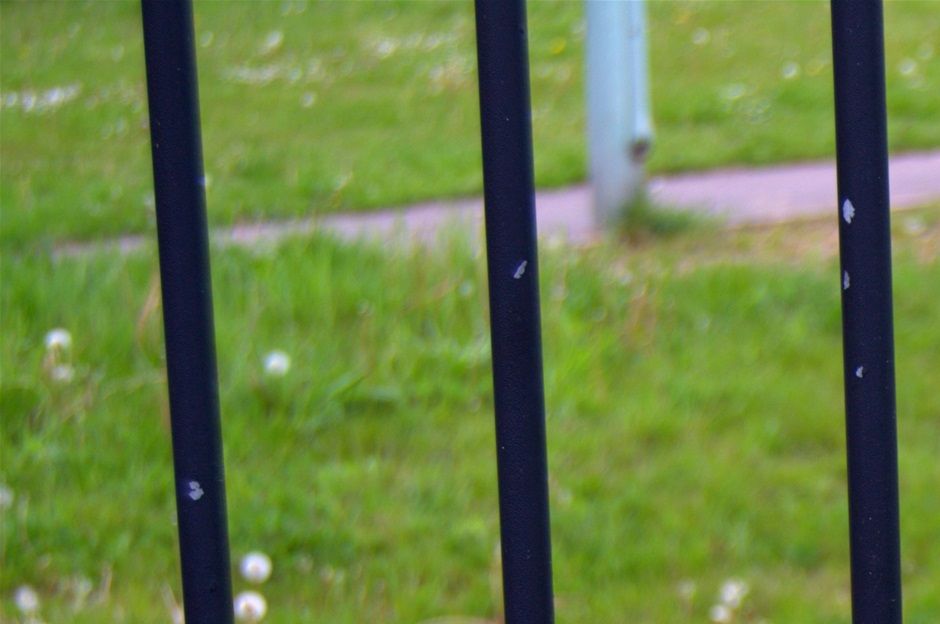 Railings between Lunt and housing estate